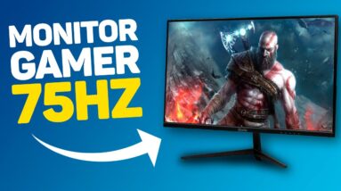 Monitor Gamer BARATO até 800 reais! - Zinnia Delfos DF21