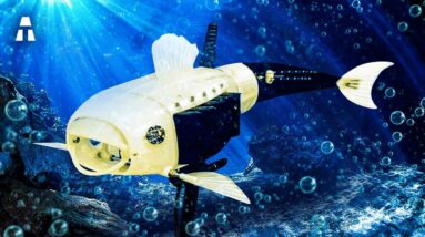 O Novo Robô Gillbert Que Foi Criado Para Limpar os Oceanos