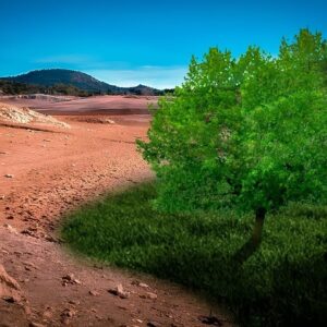 Como a Espanha Está Transformando Seus Desertos em Florestas
