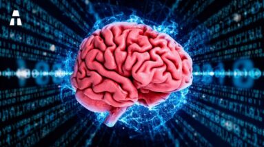 Este Projeto LOUCO de Computador é Feito de Células Cerebrais Humanas!